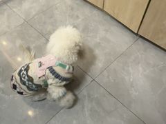 -半岛宠物医院24小时(西派城店)