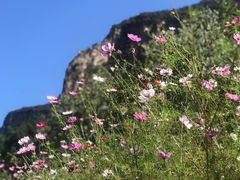 -沕沕水生态风景区
