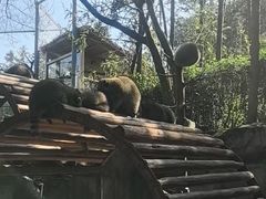 -杭州野生动物世界