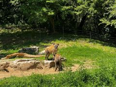 -北京野生动物园