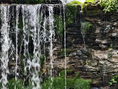 -广州白天鹅宾馆