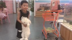 -Moni星球萌宠·小马宝莉·灵蛇·高端高阶全萌宠互动体验俱乐部(红豆国际广场店)