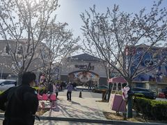 -斯普瑞斯奥特莱斯