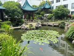 -華僑飯店中餐厅
