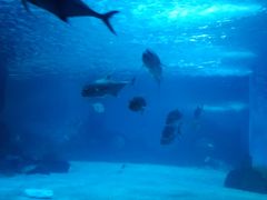 -常州海昌海洋探索馆