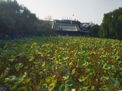 -莲池书院博物馆
