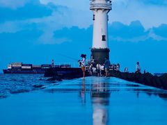 -上海吴淞炮台湾国家湿地公园