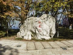 -金鸡湖桃花岛