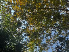-杭州君悦酒店