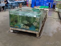 -新欢海鲜坊(赖屋店)