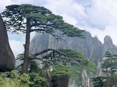 -黄山风景区