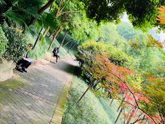 -龙头寺公园