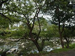 -石台牯牛降景区