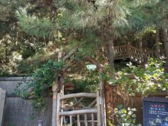 -云峰山自然风景区