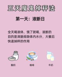 -Fundi张玉珊修身堂·indiba·BTL科技瘦身