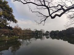 -西湖外事游船(湖滨二公园外事游船码头)