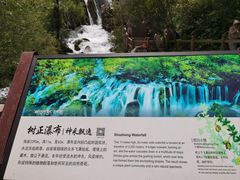 -九寨沟-树正沟