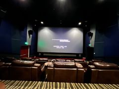 -首都电影院(金融街店 杜比全景声)