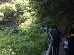 -磐安舞龙峡景区