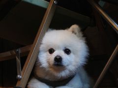 -小巨场咖啡