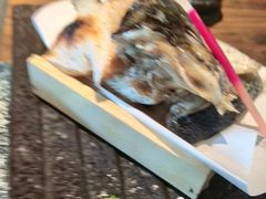 -品米斗·精致料理(浦东禹悦汇店)