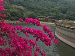 景点-清源山风景区