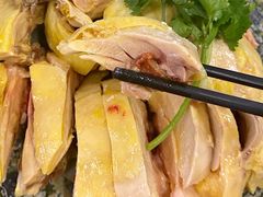 -九斤黄三黄鸡专卖店