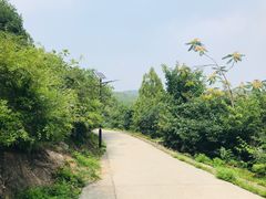 -府君山公园