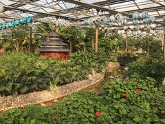 -南宫五洲植物乐园