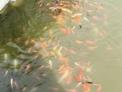 -中国翰园碑林