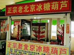 -大湾区中央湿地公园-十九涌