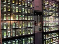 -广东中医药博物馆