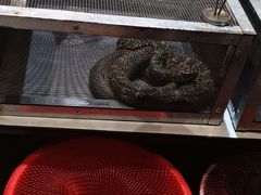 -忆江南·临江鱼馆