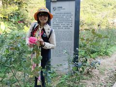 -广州市石门国家森林公园