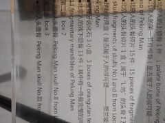 -北京周口店北京人遗址博物馆