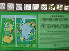 -上海都市菜园