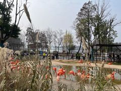 -武汉动物园