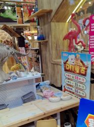 -卡通尼·Safari非洲探索乐园·生日会(金桥国际商业广场店)