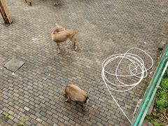 -台州府城(江南长城)