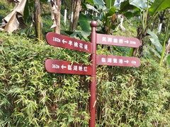 -重庆彩云湖湿地公园