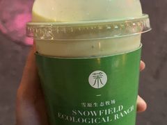 -茉酸奶(春熙路店)