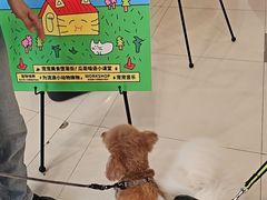 -凯德广场(武胜路店)