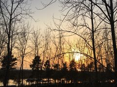 -合肥滨湖国家森林公园