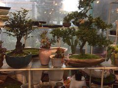 -卜蜂莲花(杨高南路店)