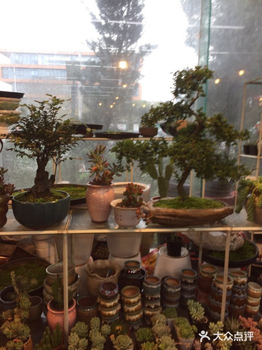 卜蜂莲花(杨高南路店)图片