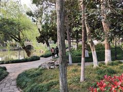 -瀛洲公园