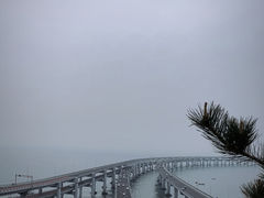 -星海湾跨海大桥