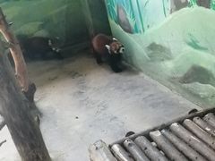 -济南野生动物世界