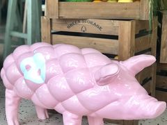 -WHEN PIGS FLY当猪飞