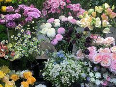 -植物学家的女儿(北马道巷店)